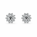 ROUND/14k WHITEGOLD/FLORAL HALO STUD EARRINGS, front view